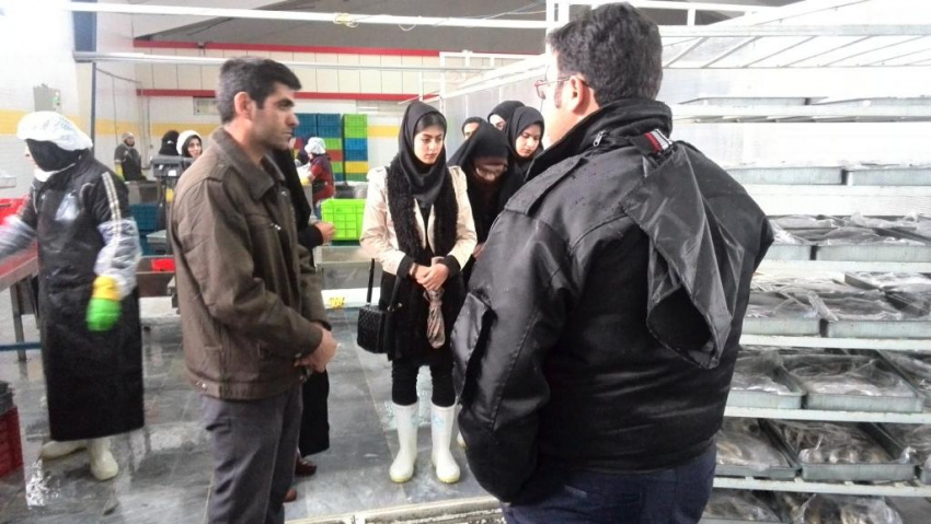 بازدید دانشجویان مركز آموزش علمی كاربردی نگین از كارخانه بسته بندی و فراوری سرماسازان